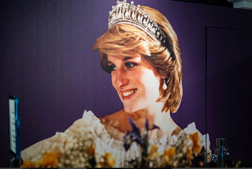 A slightly warped image of Diana Princess of Wales, younger and wearing a tiara.