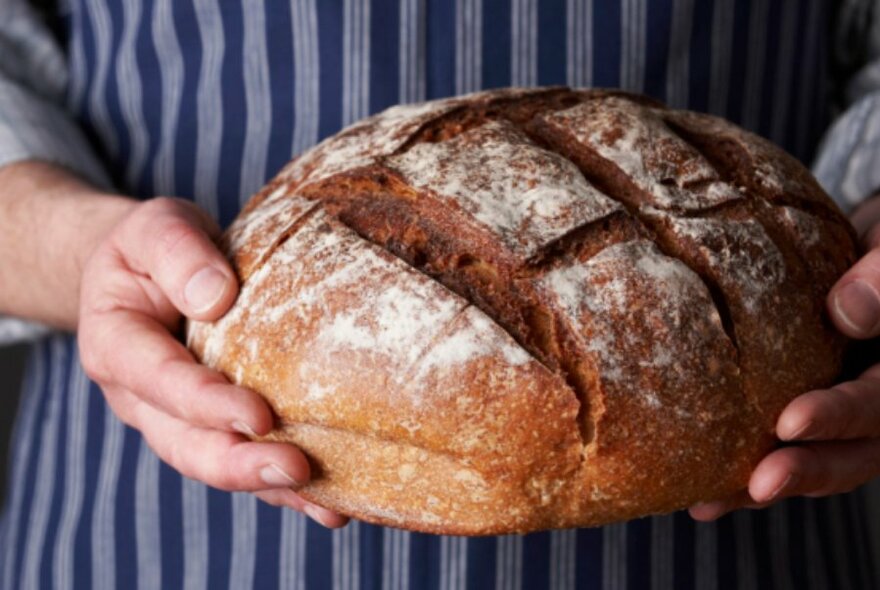 Hands holding a loaf of flour-dusted bread.