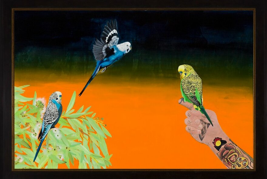 Koorie painting of three budgerigars with orange desert and black sky in the background.