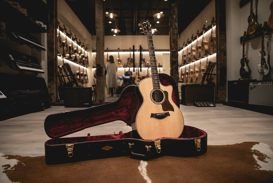Acoustic guitar standing upright in its case with shelves of guitars and other musical instruments in the background.