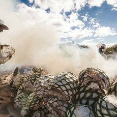 Spirits Demystified: Tequila vs Mezcal