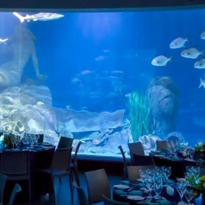 Private Dining at SEA LIFE Melbourne Aquarium 