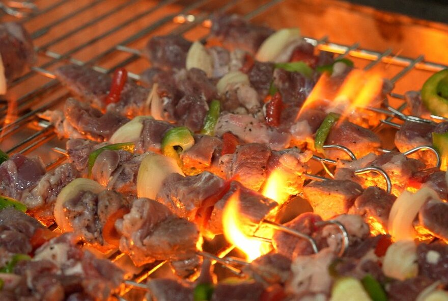 Kebabs roasting on a fiery grill.