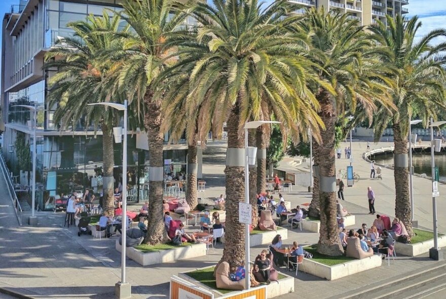 People seated under palm trees.