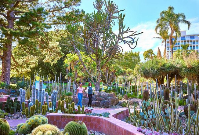 Two women walking through a cacti garden.