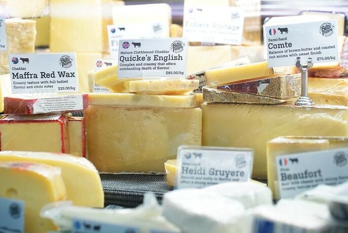 Assorted cheeses with labels. 