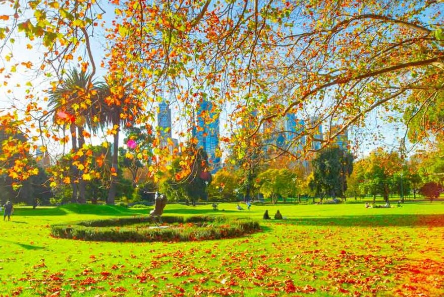 A sunny park in autumn with green grass, fallen orange leaves and the city skyline in the background.