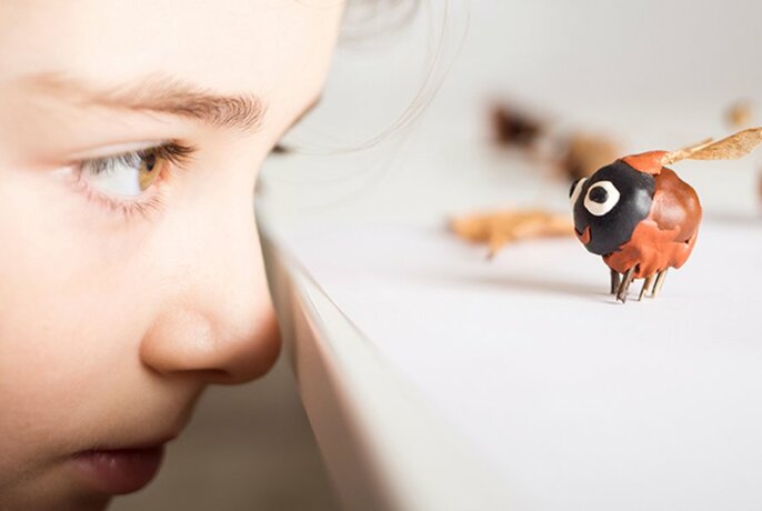 A child looking eye-level at a tabletop with a model bug on it. 