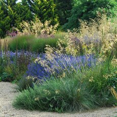 Dream Gardens with Michael McCoy