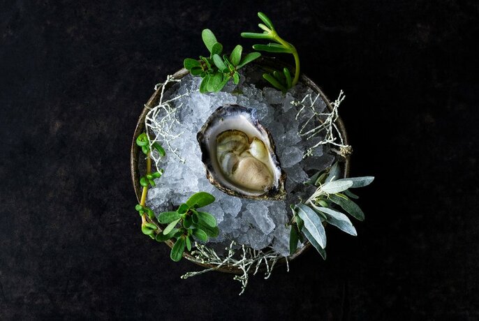 An oyster on a plate of rock salt.