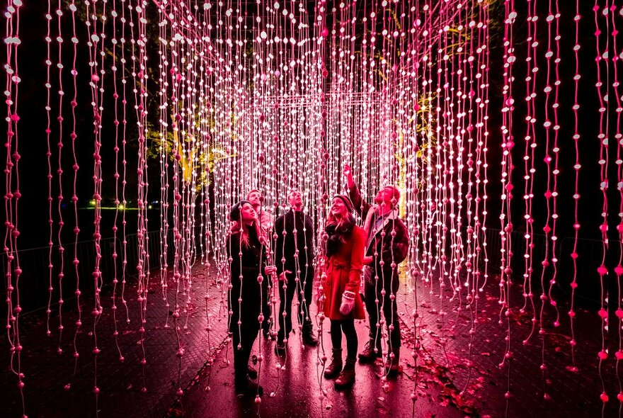 People experiencing a lighting display that has them surrounded by hundreds of strings of vertical magenta fairy lights. 