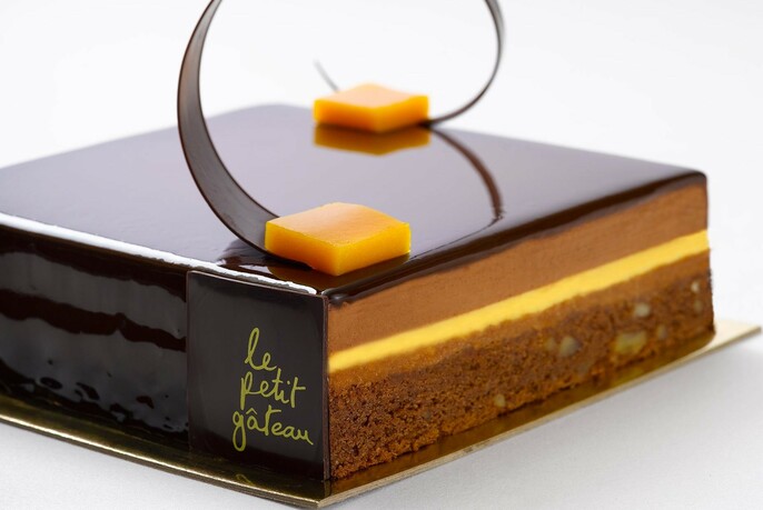 Exquisite square of chocolate cake.