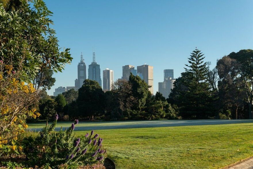 View of Melbourne's city skyline above the trees and lawn of Government House.