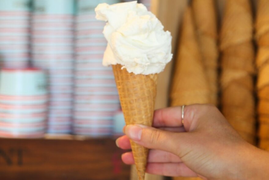 A hand holding a cone of vanilla gelato. 