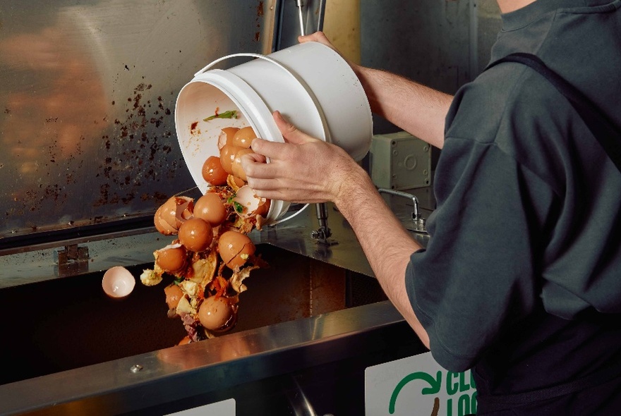 A person in a commercial cafe kitchen emptying organic matter including eggshells and vegetable scraps, into a compost.