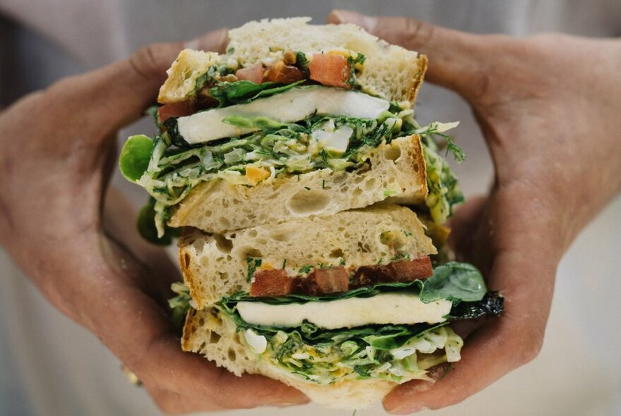 Two large sandwiches being held in two hands.