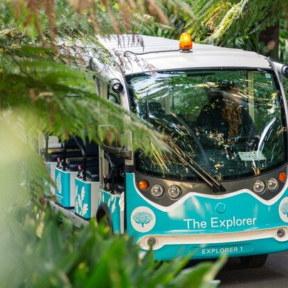 The Explorer: Melbourne Gardens