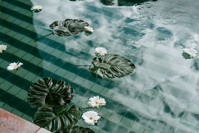 Leaves and flowers floating in a blue striped pool.