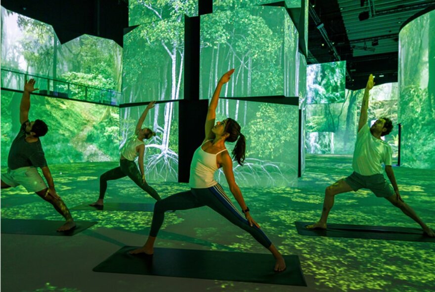 People performing yoga stretches in a room with green forest illuminations on the walls. 