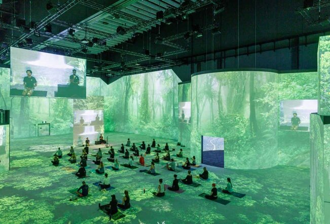 People doing yoga inside a projection art gallery with rainforest projections.