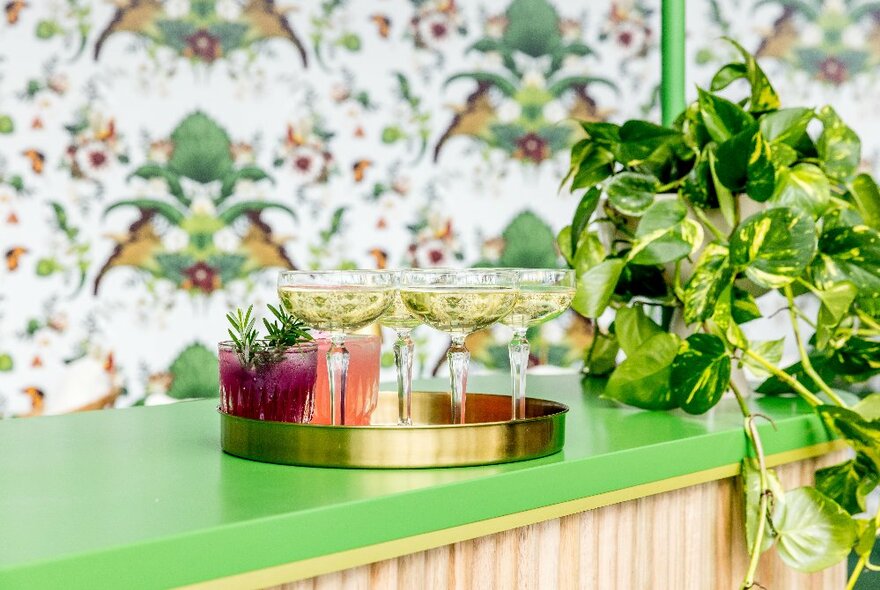 A green bar with plants and a tray of champagne glasses.