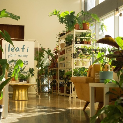 Leafi Plant Nursery