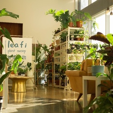 Leafi Plant Nursery