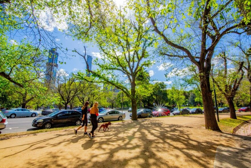 Two women walking a dog in a city park. 