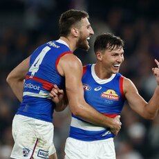 AFL Round 12: Western Bulldogs v Geelong Cats