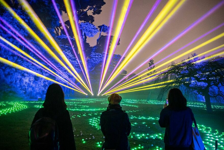 Three friends are looking at an installation in a garden with lasers and lights 