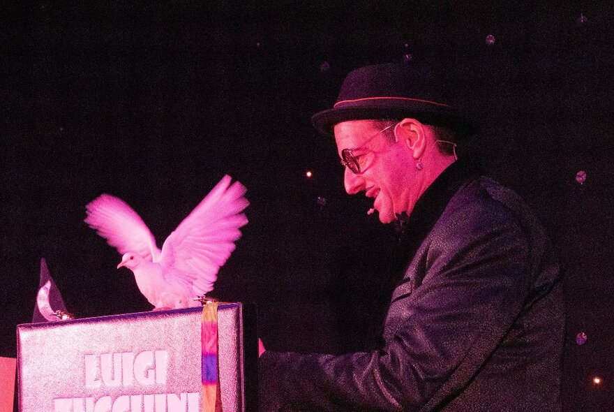A magician performing on stage with a dove.