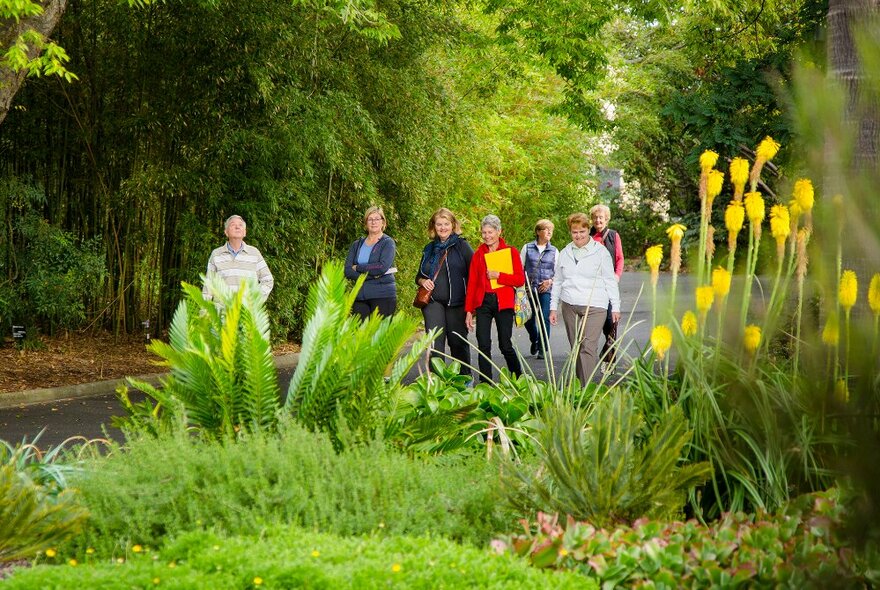 People on a guided walk through a public garden.