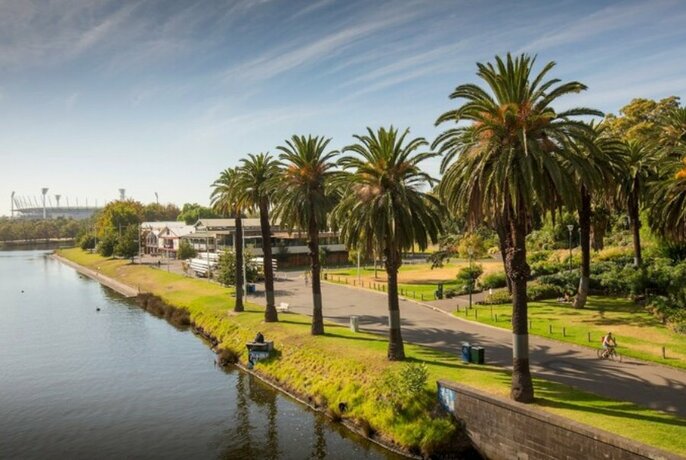 Alexandra Gardens showing a row of palm trees lining a path, green lawns, gardens and the Yarra River.