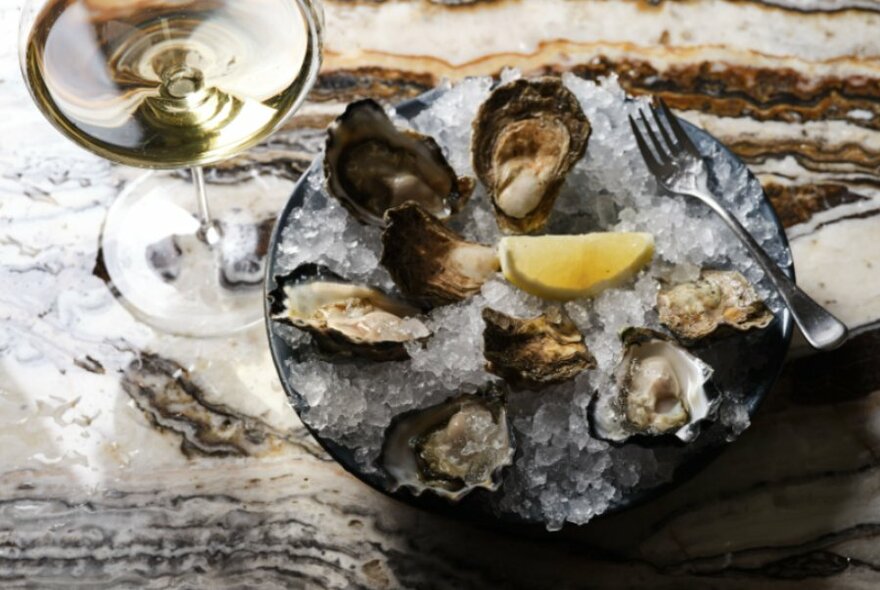 Plate of freshly shucked oysters on ice with a garnish of a slice of lemon, with a glass of white wine.