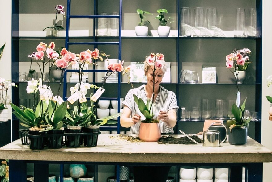 A smiling person arranging a potted floral plant on a workbench inside a florist shop, shelves of glass and ceramic vases on the wall behind her.