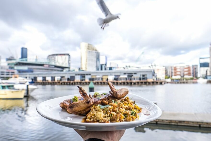 A plate of chicken and rice held out over water views at a restaurant.