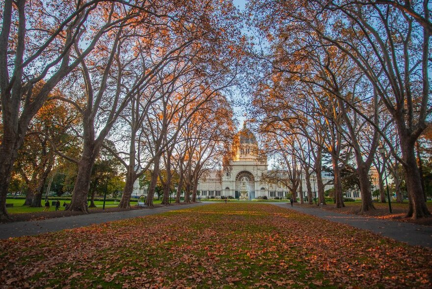 A tree-lined stretch of grass, covered with autumn leaves, leading up to the Royal Exhibition Building.