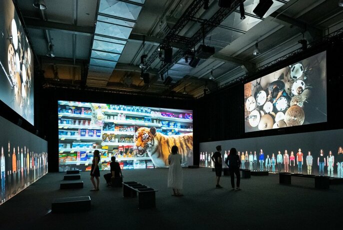 A room full of large screens, one with a tiger in a supermarket.