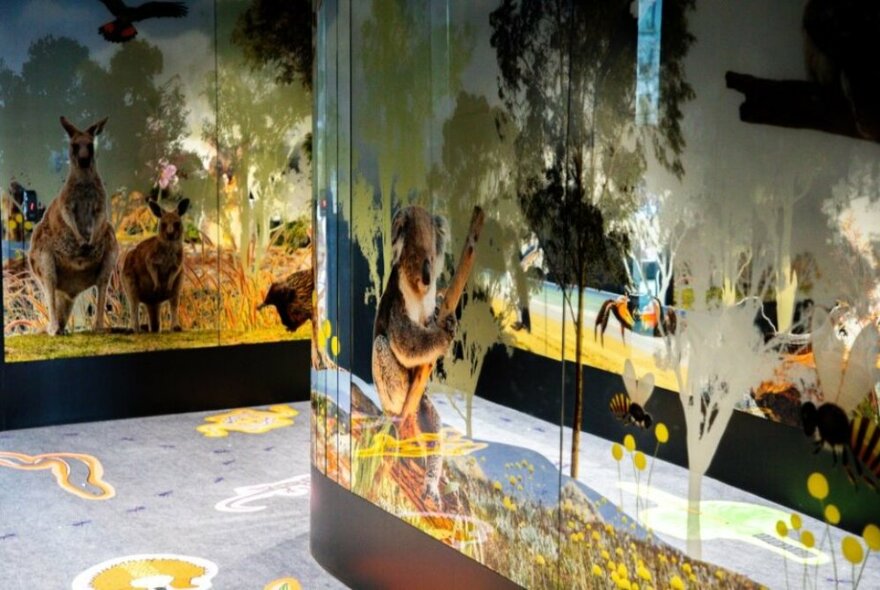 Interior of a space with murals of Australian native animals painted on frosted glass walls.