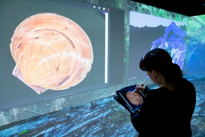 Person standing in front of an image of a shell projected onto a wall and drawing onto a tablet.