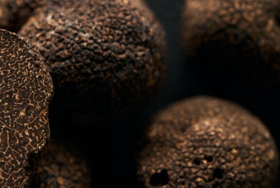 Close-up of dark winter truffles showing textured skin.