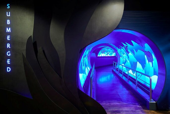 Tunnel-like entrance to Submerged, an interactive digital experience and space at the Melbourne Aquarium. 
