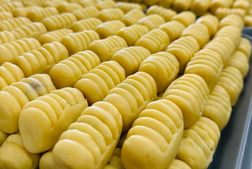 Rows of Malay dumplings lined up in rows on trays.