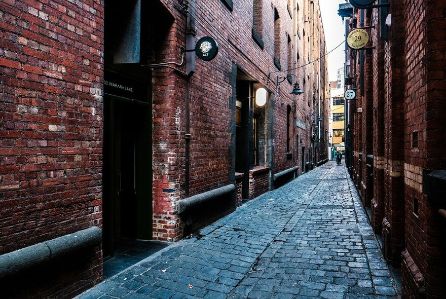 A brick laneway with small signs above doors.