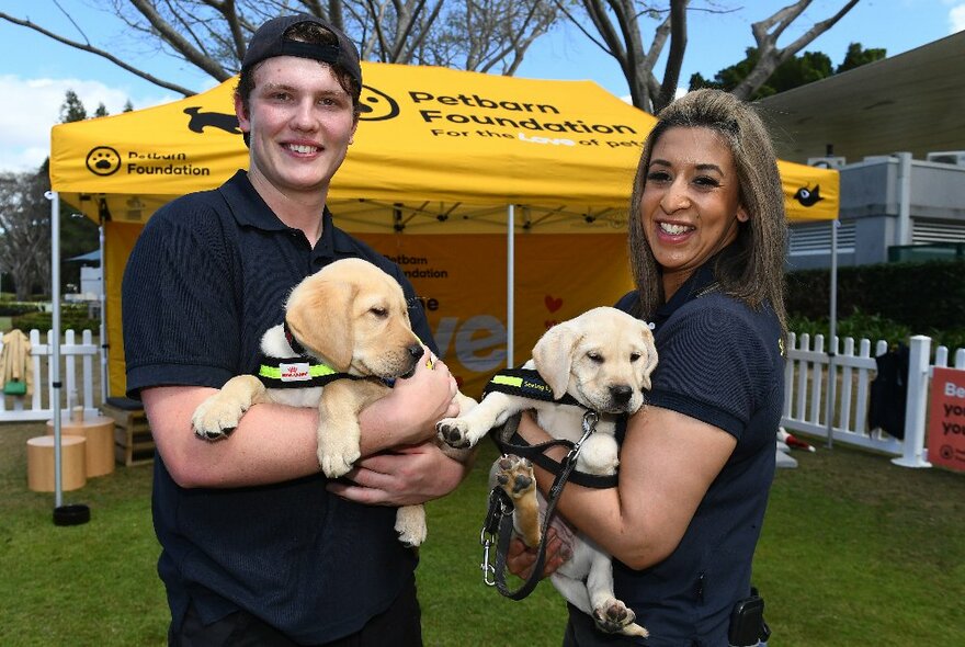 Two people holding two labrador seeing eye dog pups in their arms, outdoors with a yellow market stall gazebo in the background.