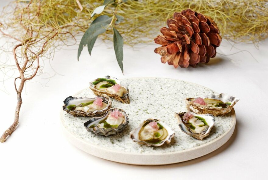 A Christmas-themed table setting featuring a pine cone with a plate of 6 oysters. 