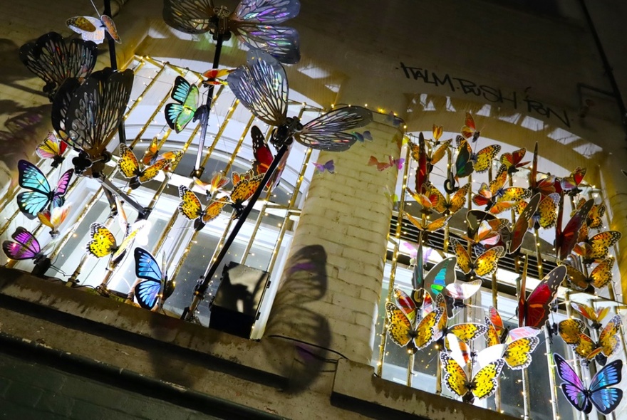 Butterfly installation on barred windows in a Melbourne alleyway.