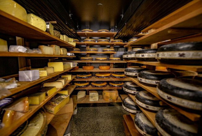 Big blocks and wheels of cheese in a cellar