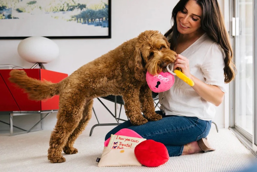A brown dog with its front paws on a kneeling woman's lap, tugging at a toy she is holding. 