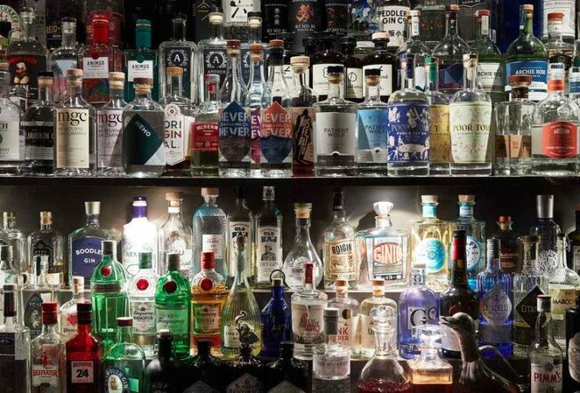 Two bar shelves filled with bottles of gin.